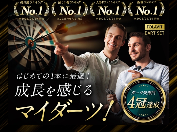 定価12000円 ソフトダーツ ハーミット 使いやすい 初心者の方もおすすめ 定価12000円 ソフトダーツ ハーミット 使いやすい 初心者の方も
