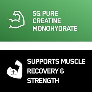 Creatina, creatina en polvo, monohidrato de creatina, monohidrato de creatina micronizada, creatina