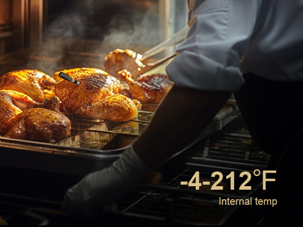 Digital Food Thermometer