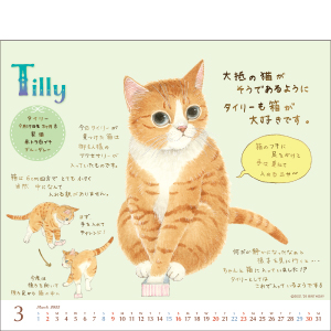 猫が邪魔で何も見えないカレンダー Amazon.co.jp: トライエックス 人生はニャンとかなる！ 卓上
