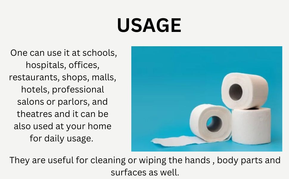 Bargain Factory Toilet Tissue Rolls Bulk Large Pack Economical Embossed