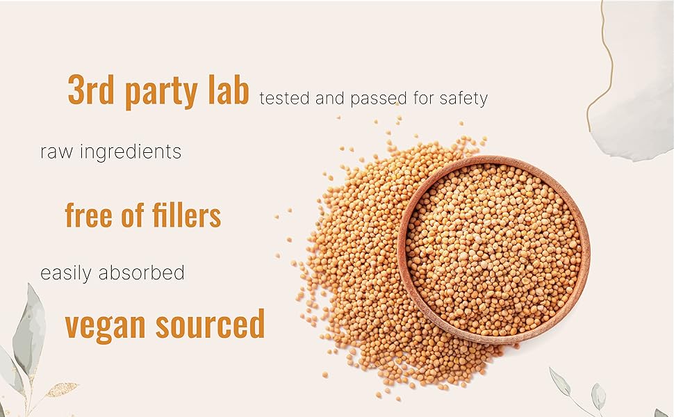 The Mustard Seeds☆Mustard Seeds A1eBoTNqU0L._UF350,350_QL50_.jpg