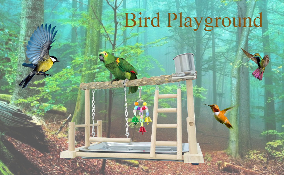 PINVNBY Bird Playground Parrot Playstand Birds Play Stand