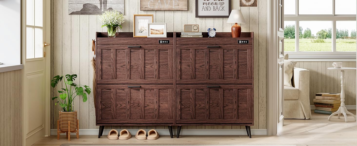 shoe organizer cabinet