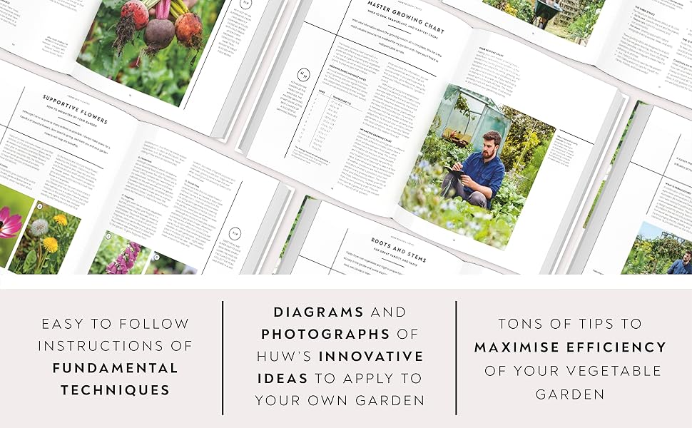 The Vegetable Grower's Handbook Unearth Your Garden's Full Potential