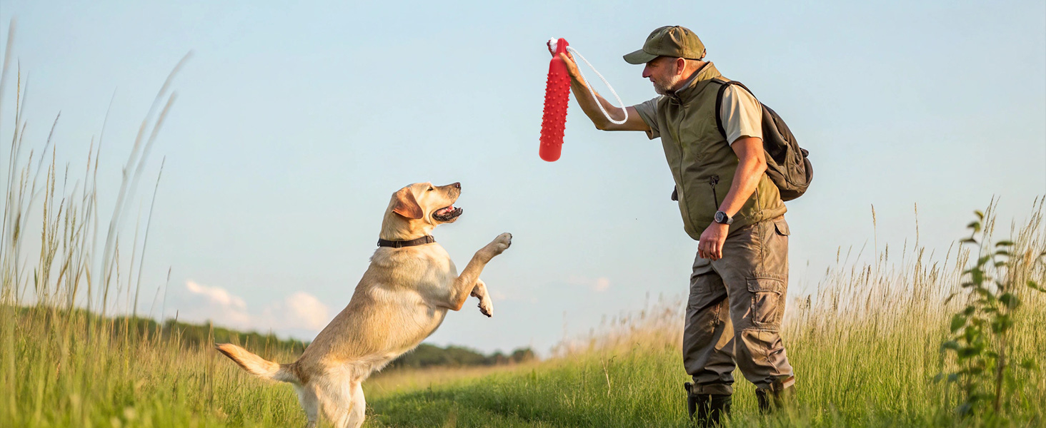 Dog Float Bumper Toy