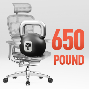 Office Chair Casters