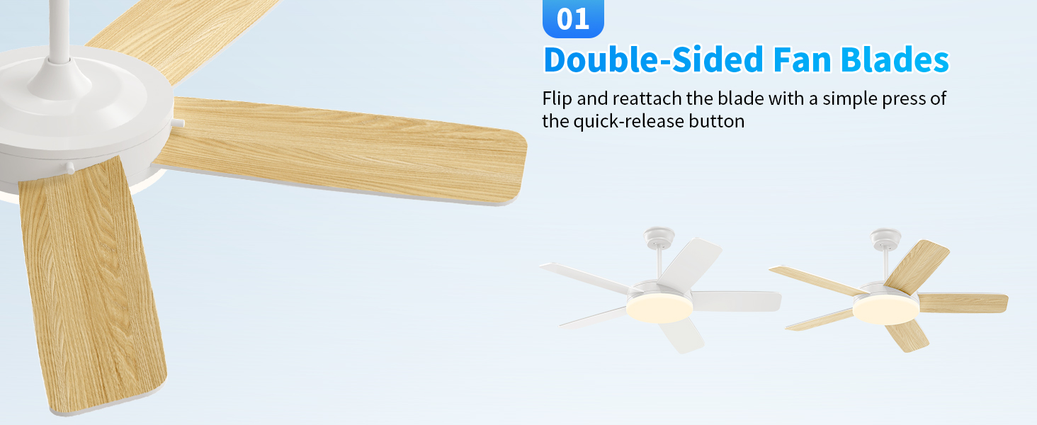 Ceiling Fans