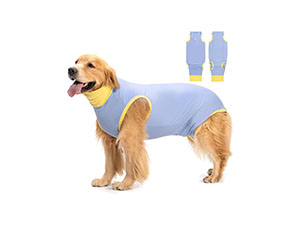 Small manufacture image 5