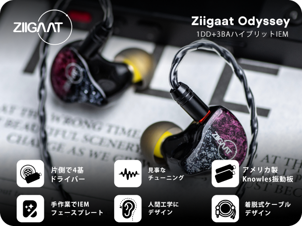 Amazon.co.jp: Linsoul ZiiGaat Odysseyハイブリッド型(3BA+1DD