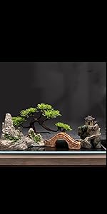水草 D dショッピング |（水草）メダカの水草レイアウトセット
