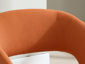Comfortable Backrest
