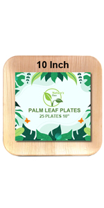 Small Square 10 Inch