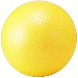 Amazon | SINTEX(シンテックス) (シンテックス) フィットネス