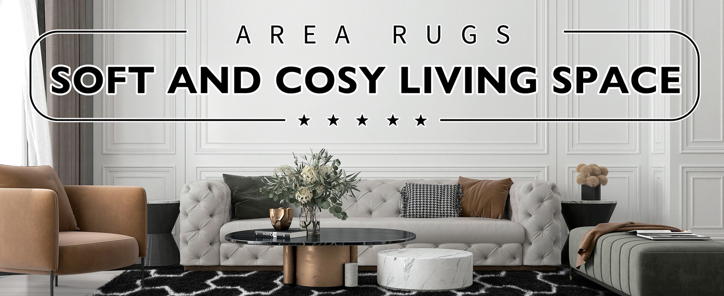 EVOIONOS Black and White Area Rugs for Living Room, 7x10