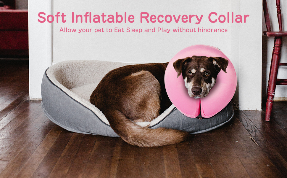 Dog Cone Alternative After Surgery Soft Dog Cones for