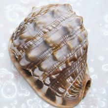 Small manufacture image 5