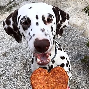 chuches para perros snacks para perros premios para perros chuches perro chuches perros golosinas para perros