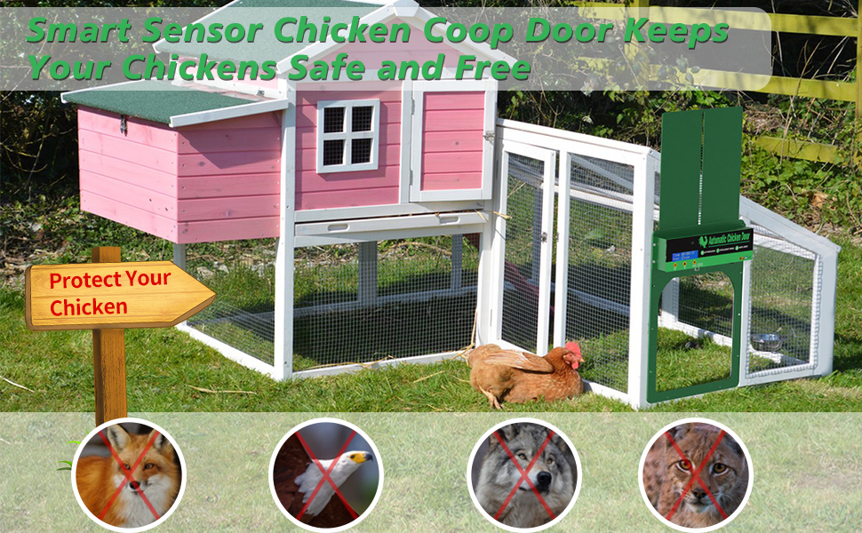 Automatic Chicken Coop Door, Light Sensor Control, Remote