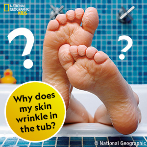 Why does my skin wrinkle in the tub?