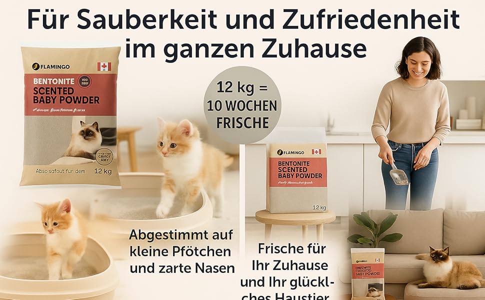 Aplus-Inhaltsbild
