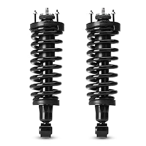 Struts Shock Absorbers