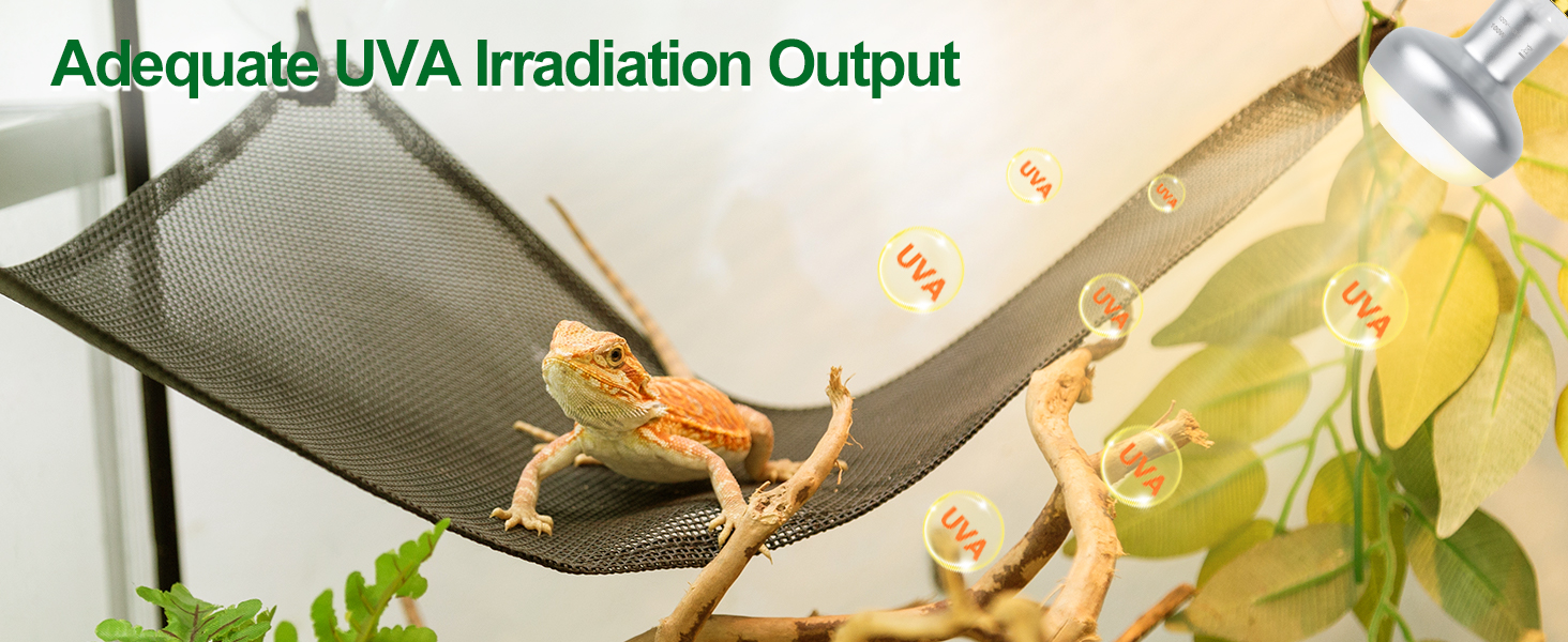 heat lamp for lizard