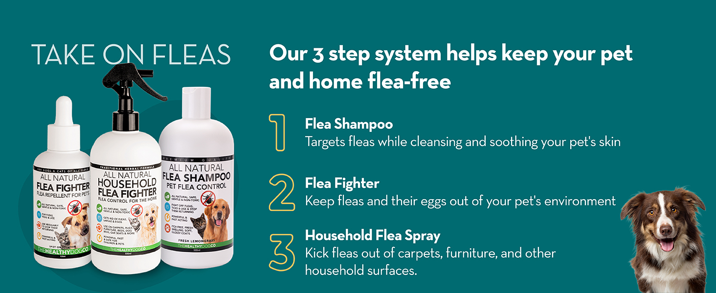 Natural Itchy Dog Skin Relief - 7