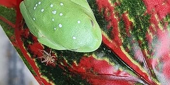 Small manufacture image 11