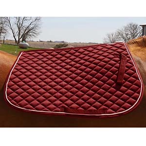 Right profile of the saddle pad on a horse with no saddle