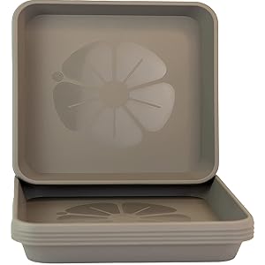 color 6