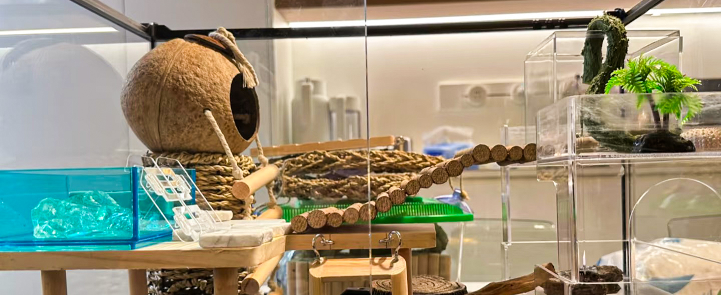 Crested Gecko Tank Accessories