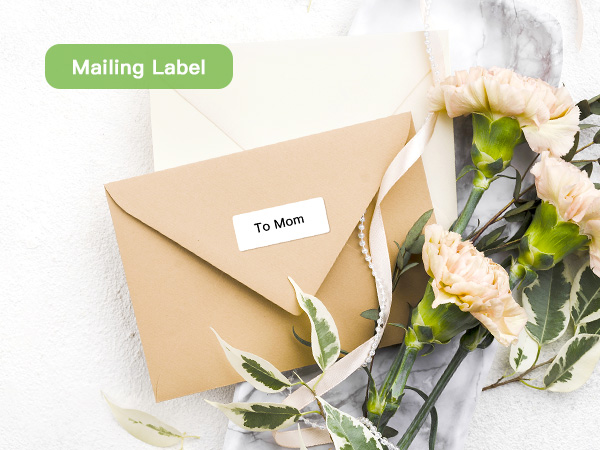 address labels, 1" x 2-5/8" shipping address labels for Laser & Inkjet printers mailing Labels