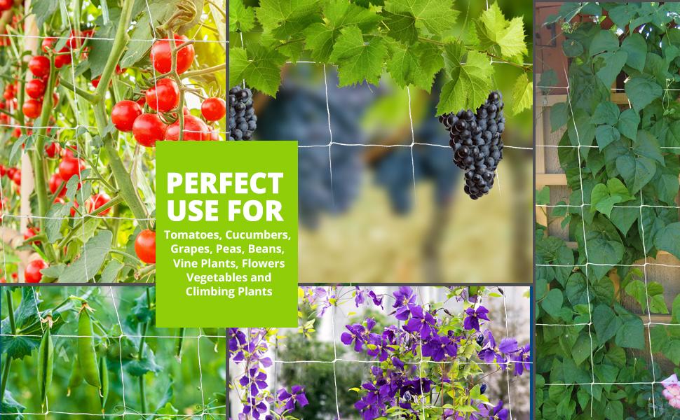 Plant Climbing & Plant Trellis Netting, Creeper Plant Support Net