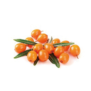 Sea Buckthorn Berry