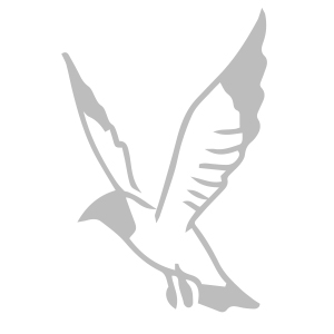 Jane Hell, Ostseeroman, Liebesroman, Fischbrötchen, Zuckerstreusel, Sommer, Strandlektüre