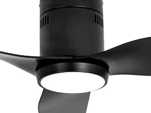 Ceiling fan with light motor detail