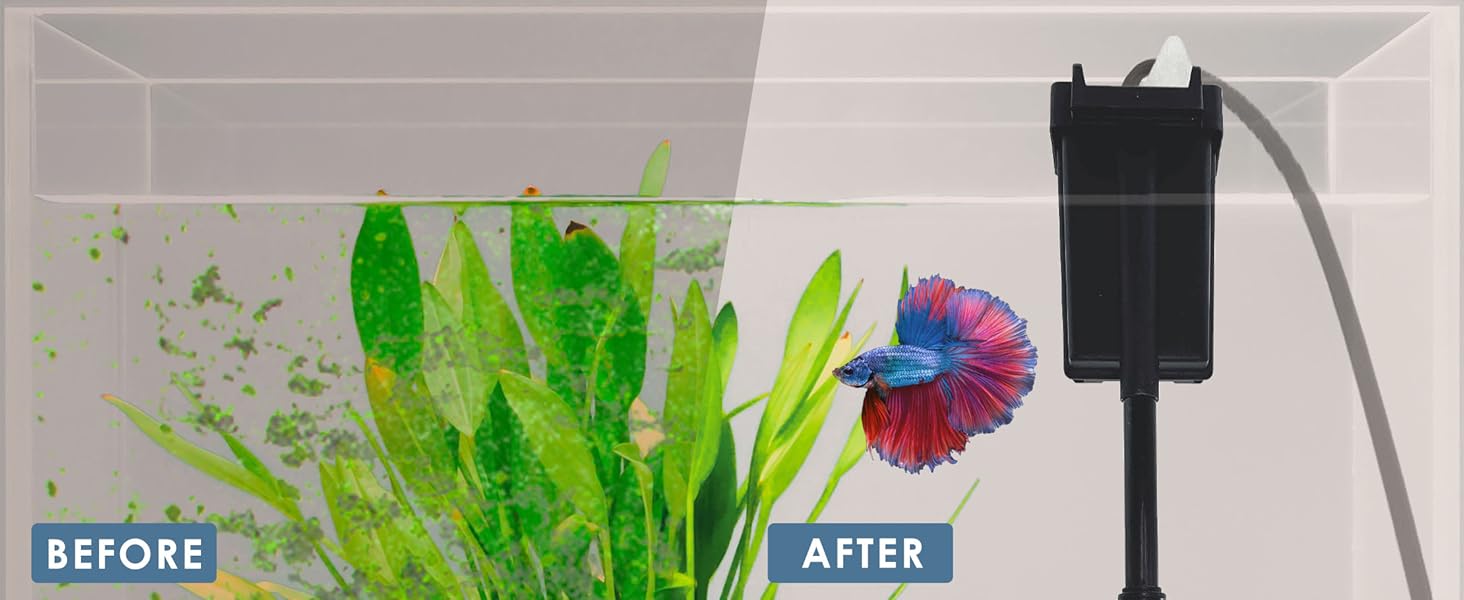 self cleaning fish tank