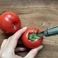 Strawberry Corer