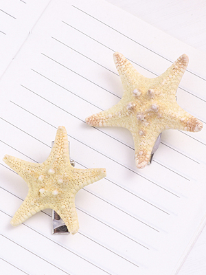 sea star hair clip