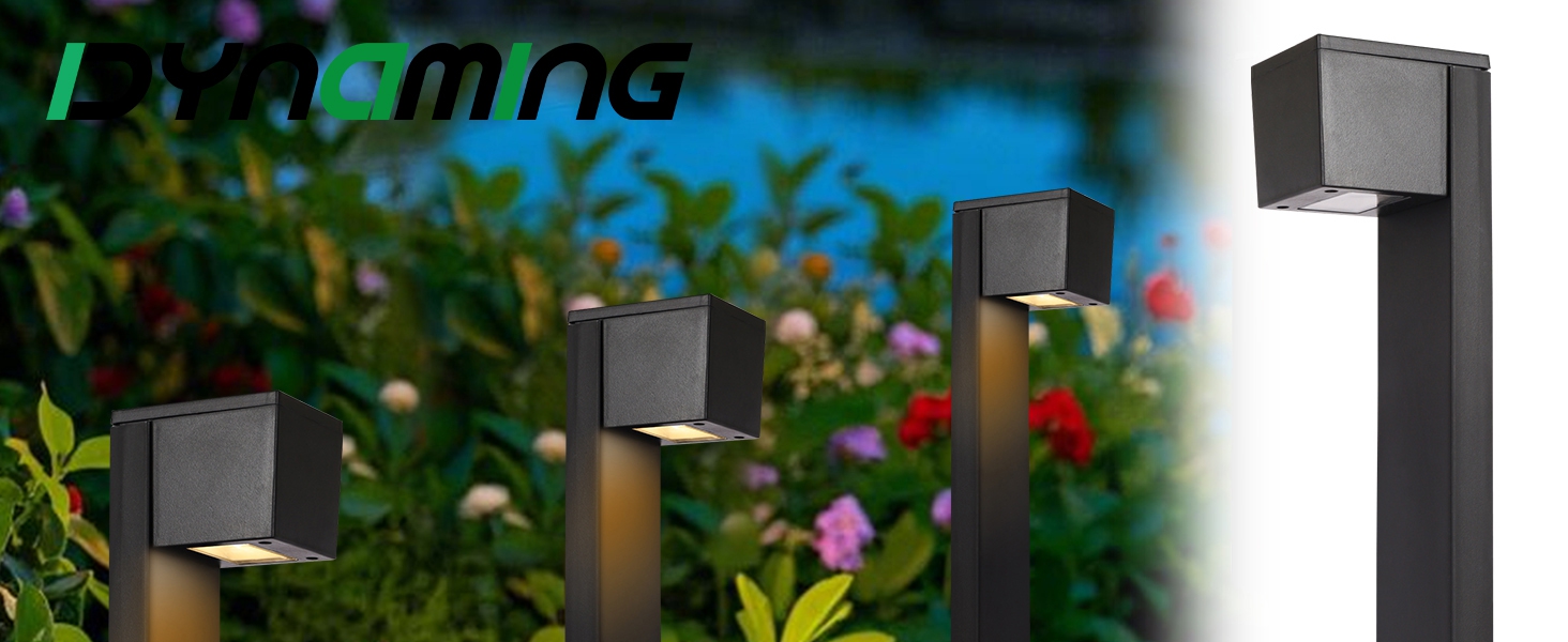 Solar Pathway Lights 