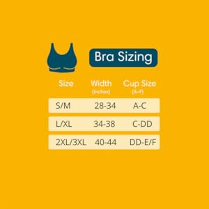 Bra Size
