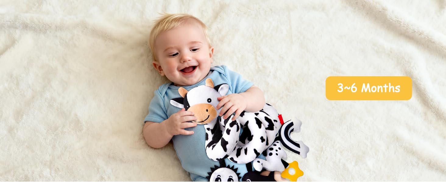 baby toys 0-6 months