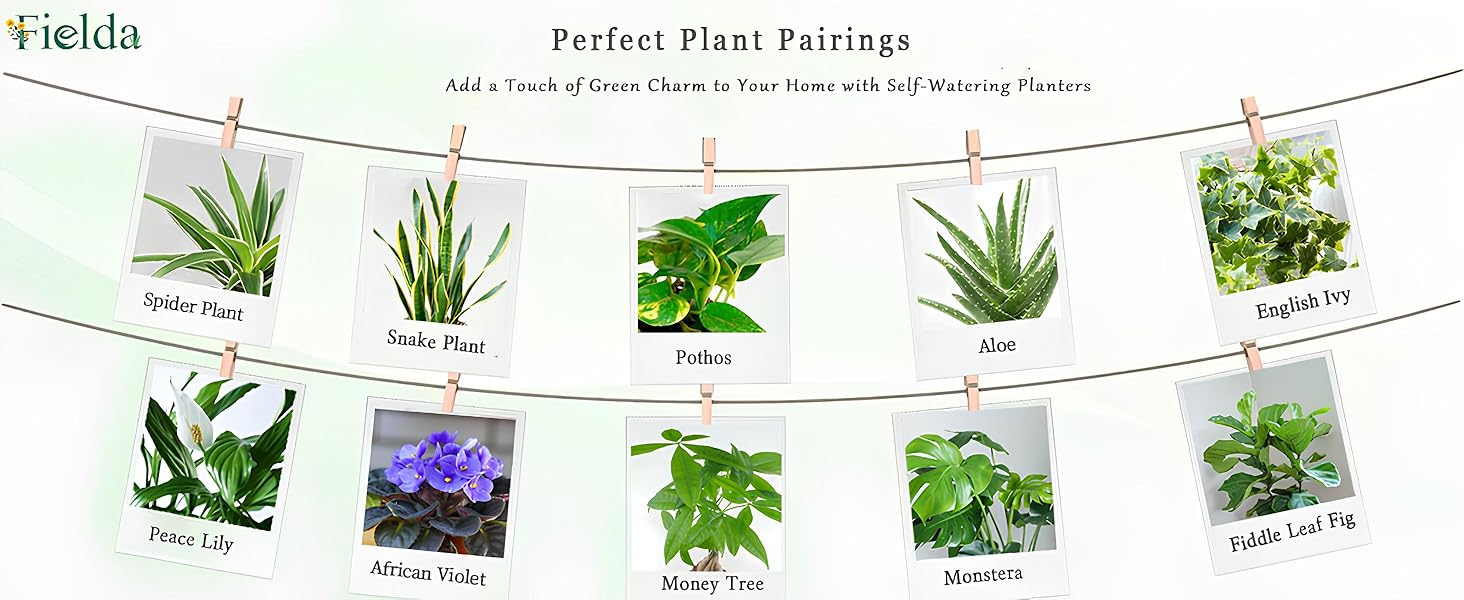 pots for indoor plants
