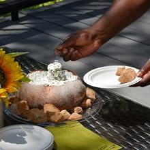 Hands using a clear plastic spoon to scoop dip on a patio.