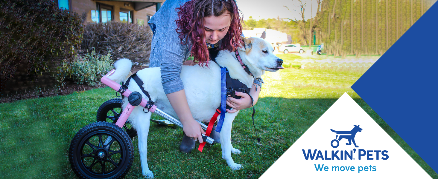 Walkin' Wheels Dog Wheelchair for Large Dogs 70180