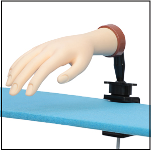 Mannequin Hands for Nails