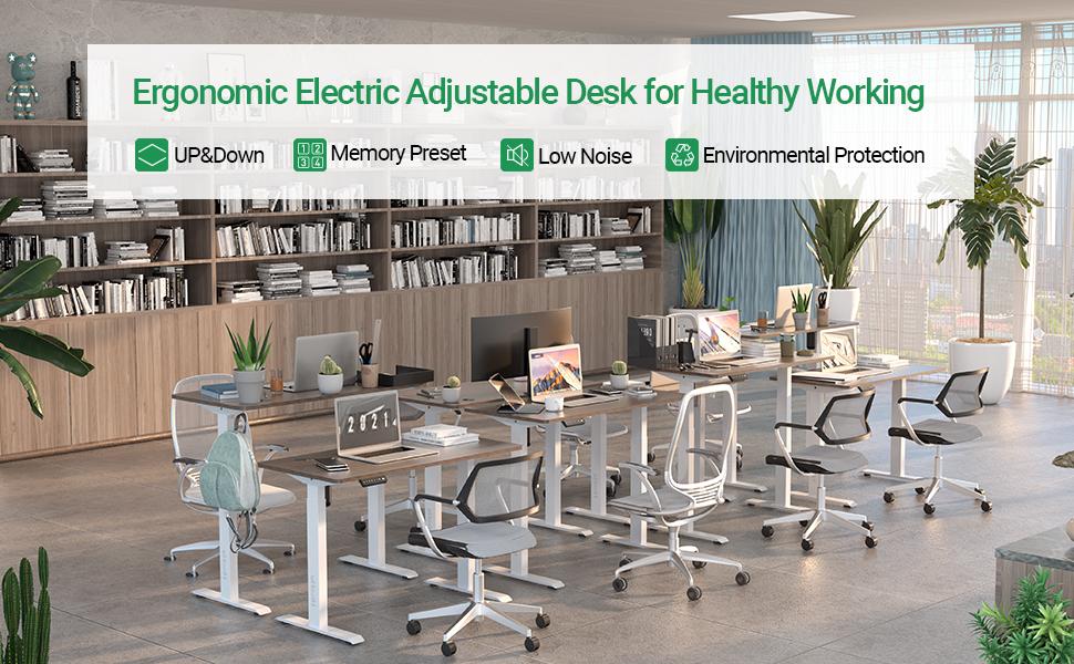 HisoHu Electric Height Adjustable Standing Computer Desk
