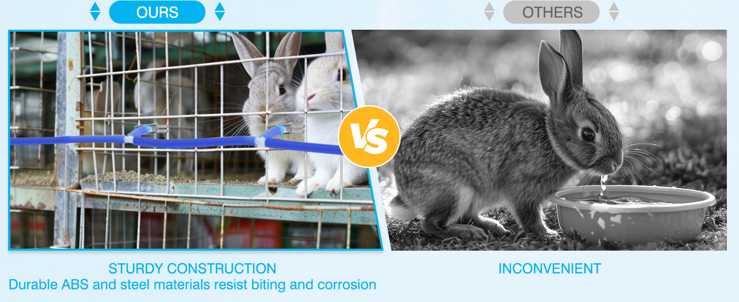 rabbit water dispenser