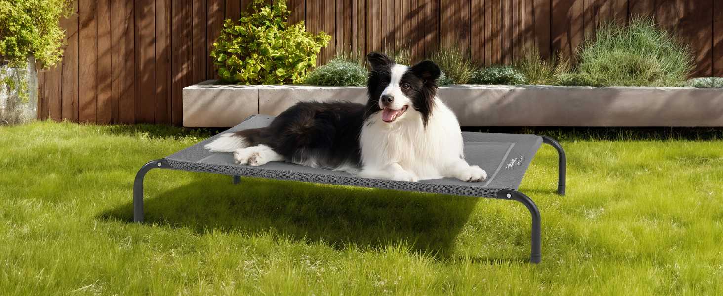 dog cot